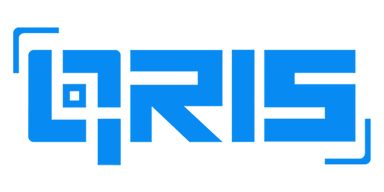 QRIS